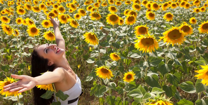 Cheerful in a sunflower field